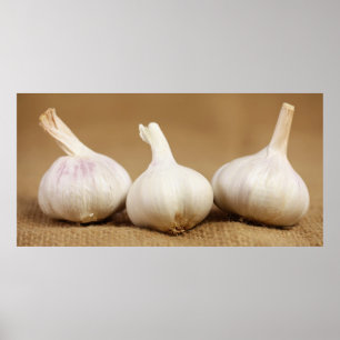 Knoblauchknollen Poster