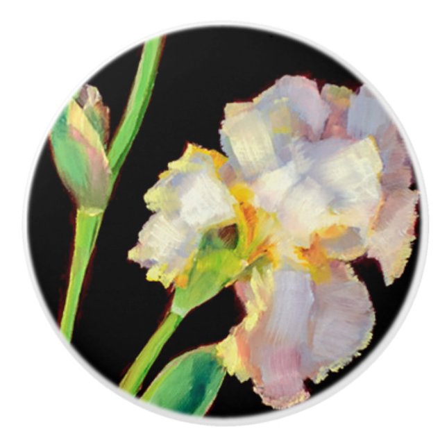 Knobs - White Iris (Front)