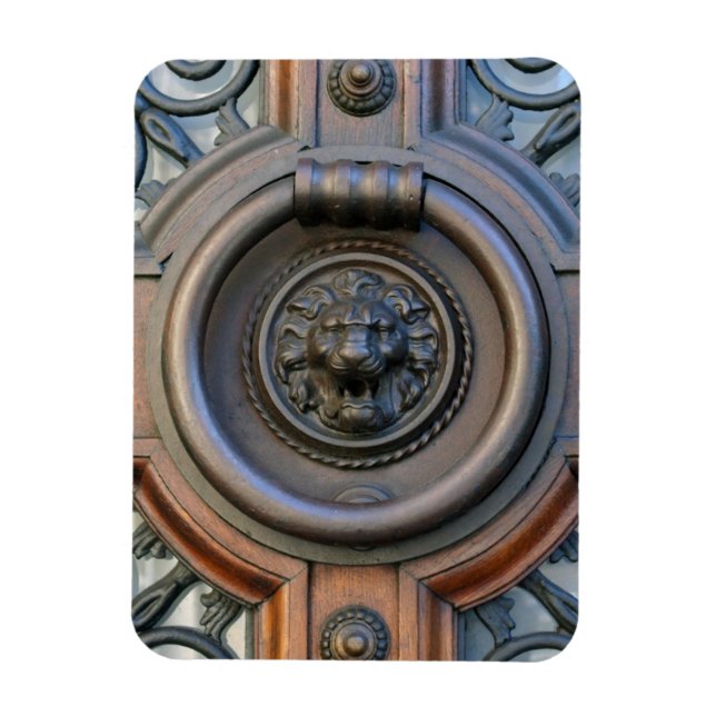 Knock Knock Lion Head - Barcelona - Magnet (Vertical)