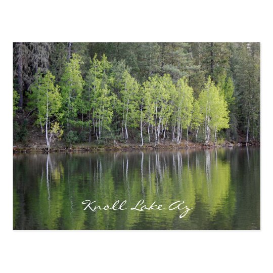 Knoll Lake Arizona Postcard