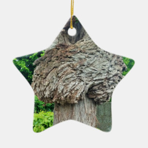 Knot on Tree Trunk, Knar, Nature Green Ceramic Ornament