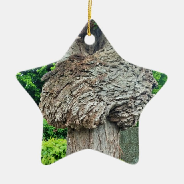 Knot on Tree Trunk, Knar, Nature Green Ceramic Ornament (Front)