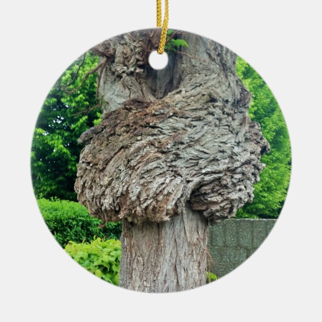 Knot on Tree Trunk, Knar, Nature Green Ceramic Ornament (Front)