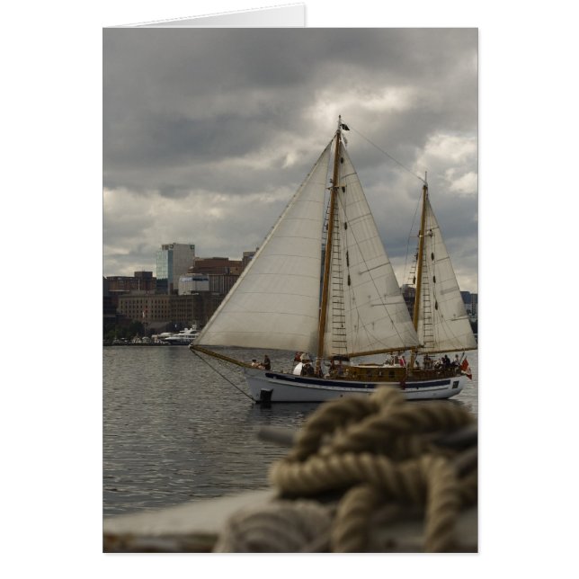 Knotical Sailing (Front)