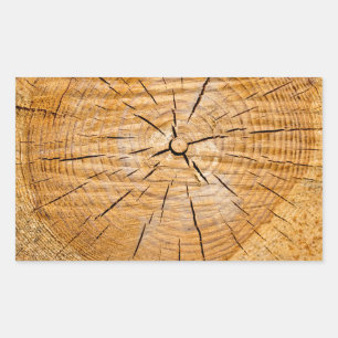 Knotty Wood Slice of Life Sticker