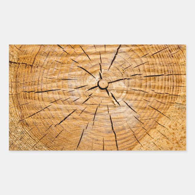 Knotty Wood Slice of Life Sticker (Front)