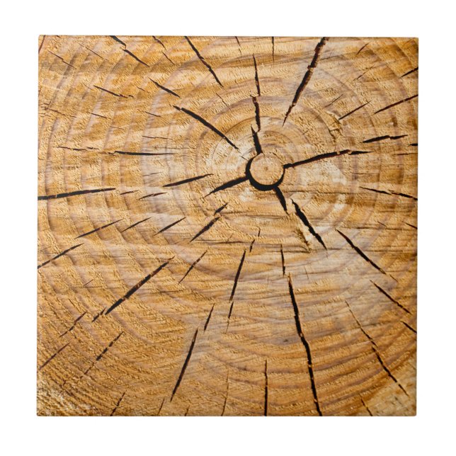 Knotty Wood Slice of Life Tile (Front)