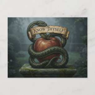 Know Thyself Postcard