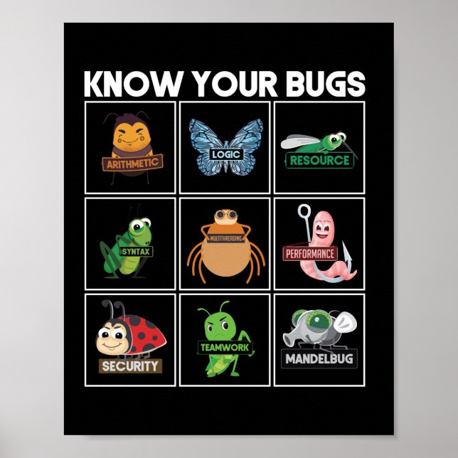 Know Your Bugs Programmer Coding Poster (Front)
