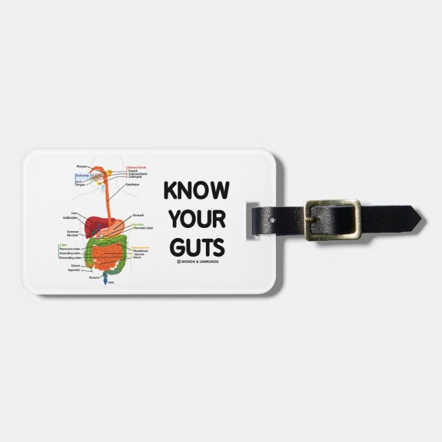 Know Your Guts (Digestive System Anatomical Luggage Tag (Front Horizontal)