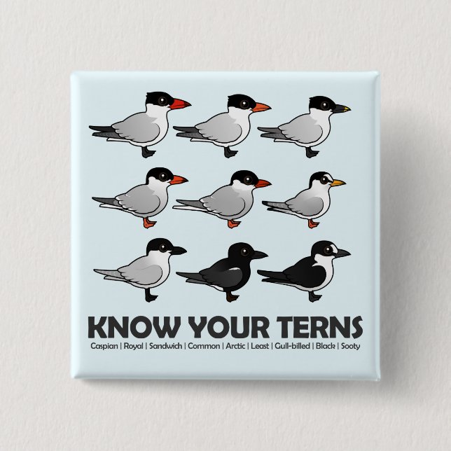 Know Your Terns 2 Inch Square Button (Front)