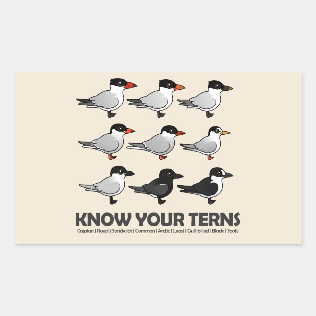Know Your Terns Sticker (Front)