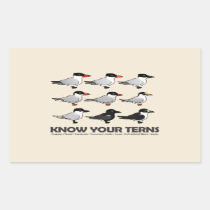 Know Your Terns Sticker