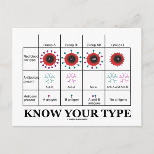 Know Your Type (Blood Types Health Medicine) Postcard