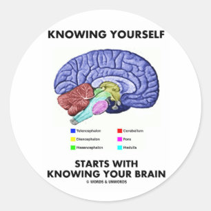 Knowing Yourself Starts With Knowing Your Brain Classic Round Sticker