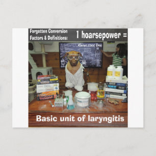 Knowledge Dog Forgotten Conversions Hoarsepower Postcard