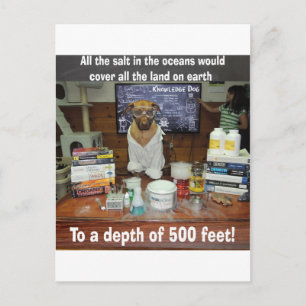 Knowledge Dog Salt in the Oceans Postcard