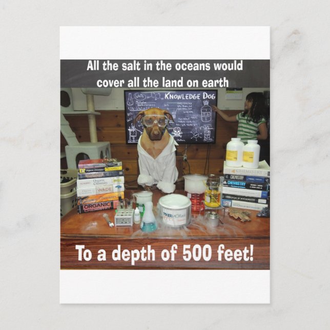 Knowledge Dog Salt in the Oceans Postcard (Front)