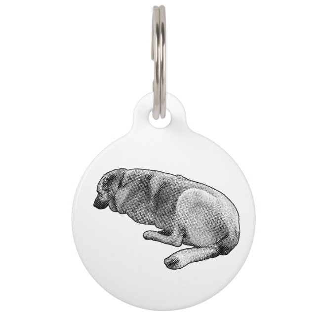 Known Even in Sleep Pet Tag (Front)