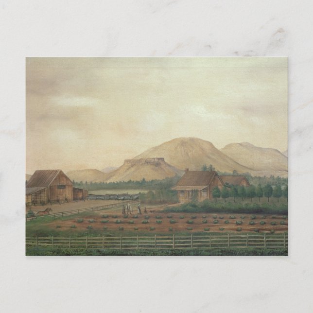 Knox Ranch, Idaho Postcard (Front)