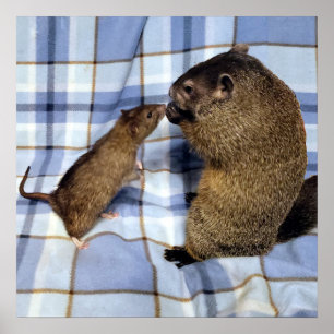 Koa and Caleb Poster