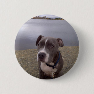 Koa Vasona Park 2 Inch Round Button