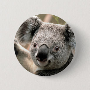 Koala 2 Inch Round Button