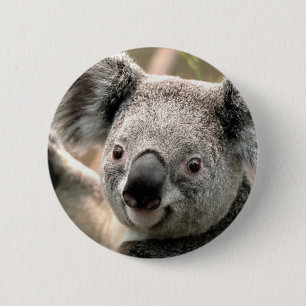 Koala 2 Inch Round Button