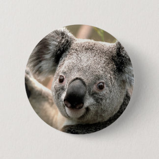 Koala 2 Inch Round Button