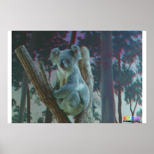 Koala 3D Anaglyph Poster (Front)