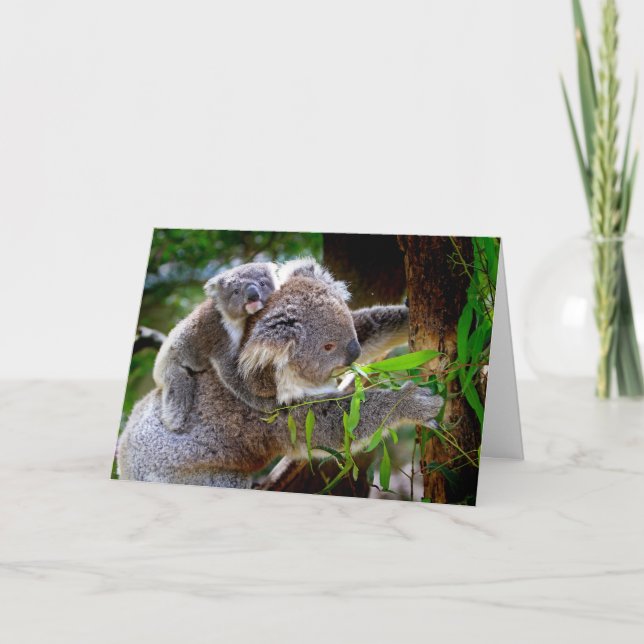 Koala and Joey Mothers Day Card (Front)
