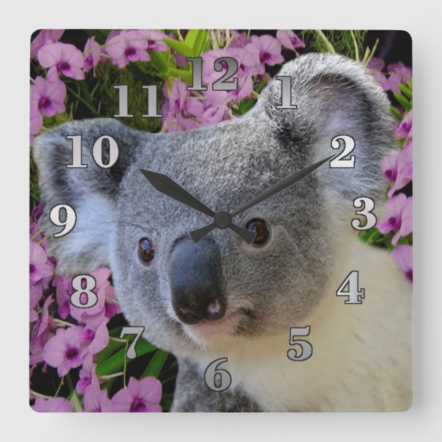 Koala and Orchids Square Wall Clock (Front)