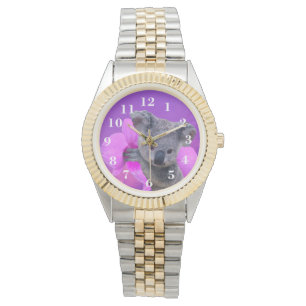 Koala and Orchids Watch
