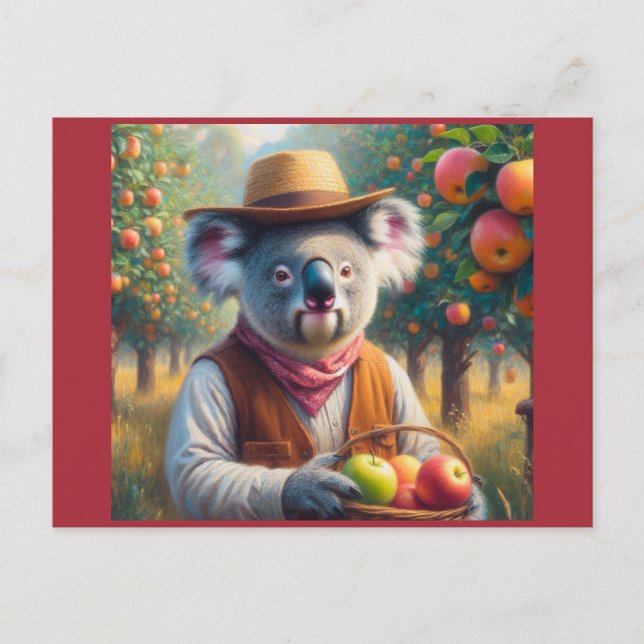 Koala Apple Orchard Postcard (Front)