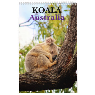 KOALA AUSTRALIA CALENDAR