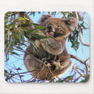 Koala Australia Mousepad