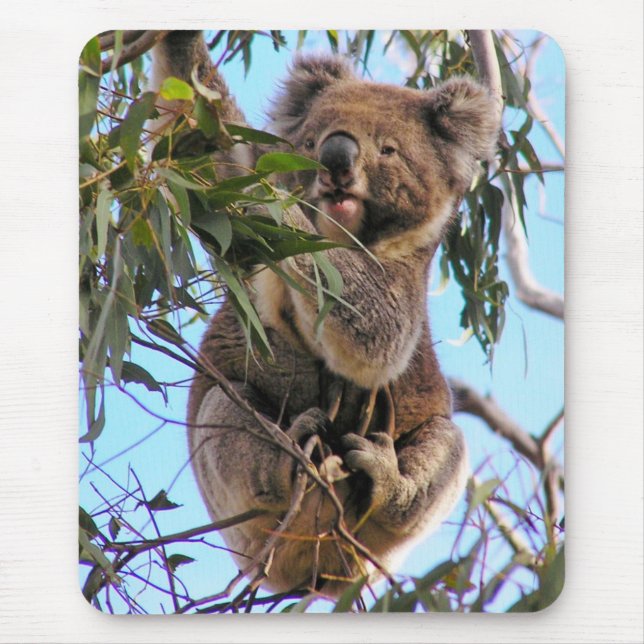 Koala Australia Mousepad (Front)