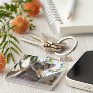 Koala Bear Aussi Safari Peace Love Nature Destiny Keychain
