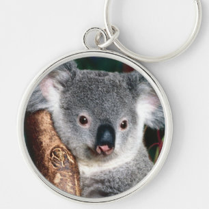 Koala Bear Australia Outback Country Animal Cute Keychain