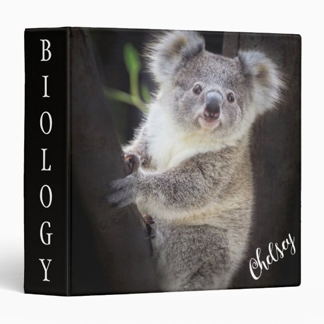 Koala Bear Binder (Front/Spine)