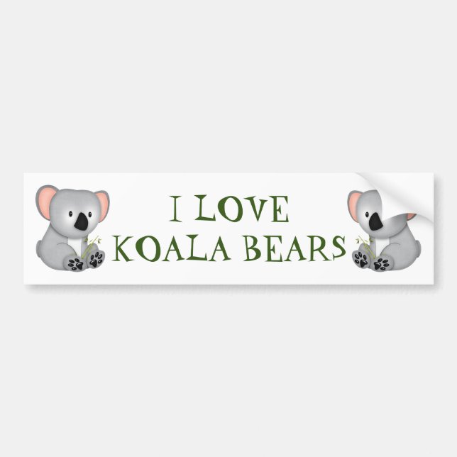 KOALA BEAR BUMPER STICKER (Front)
