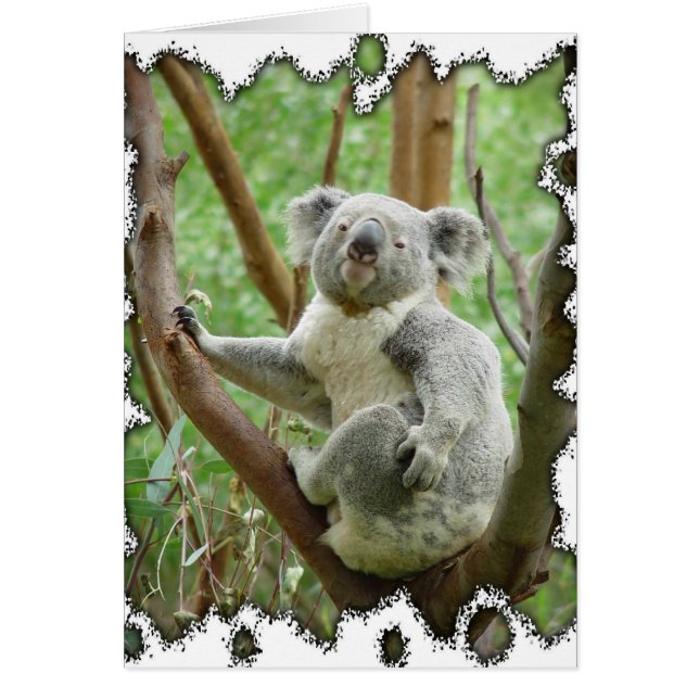Koala Bear Card (Front)
