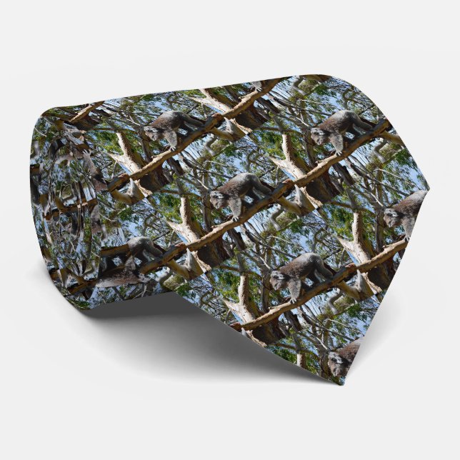 Koala Bear Cat Walk, Neck Tie (Rolled)