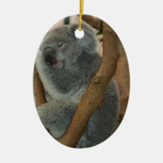 Koala Bear Ceramic Ornament