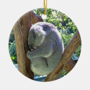 Koala Bear Ceramic Ornament