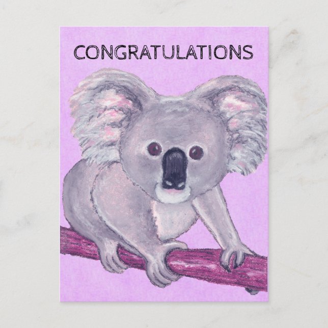 Koala Bear Congratulations Postcard (Front)
