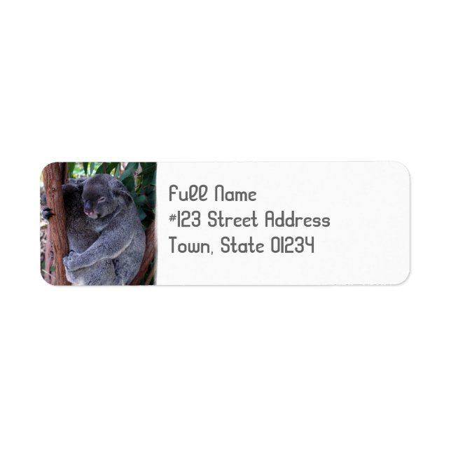 Koala Bear Cuddle Return Address Label (Front)