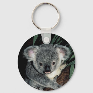 Koala Bear Cute Keychain