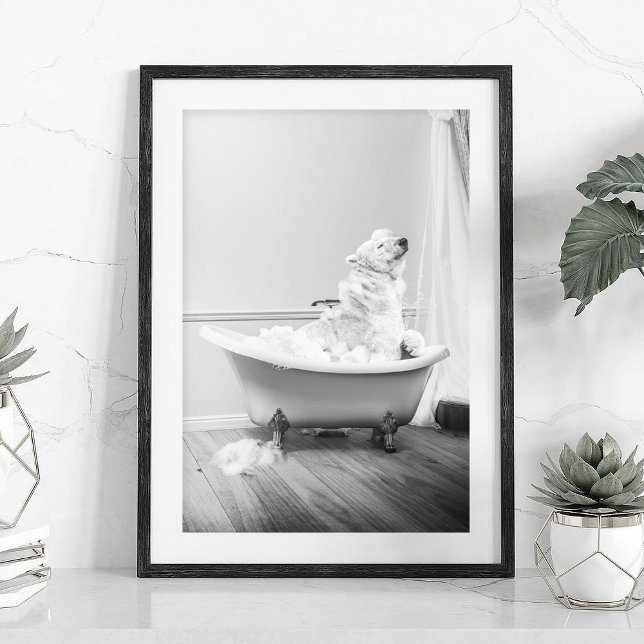 Koala Bear dans la baignoire Poster (Créateur téléchargé)