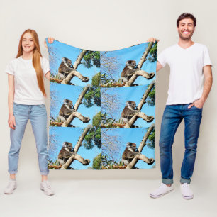 Koala Bear In Old Pine Tree, Fleece Blanket